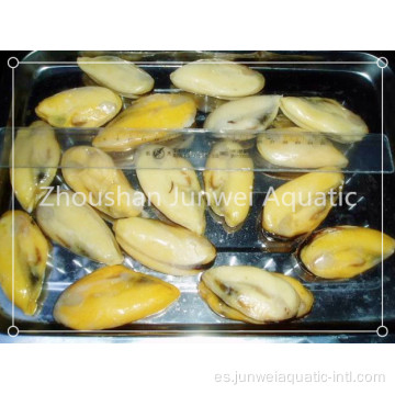 mejillones frescos congelados a la venta